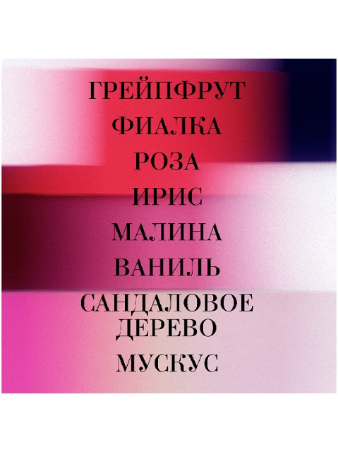 Image 303074