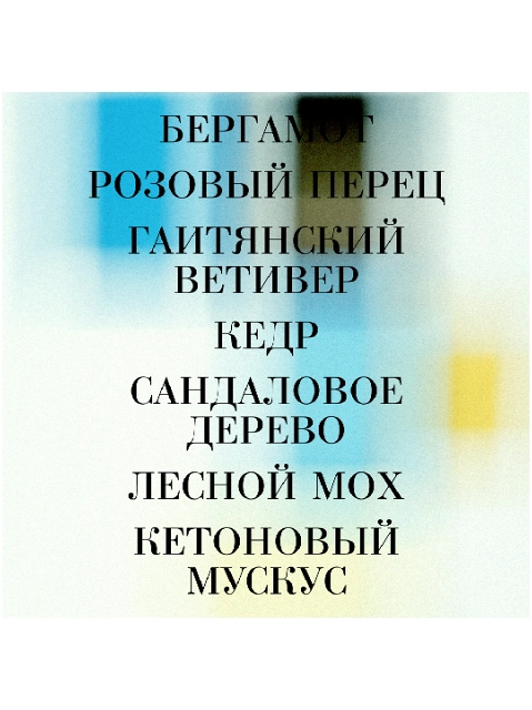 Image 303080
