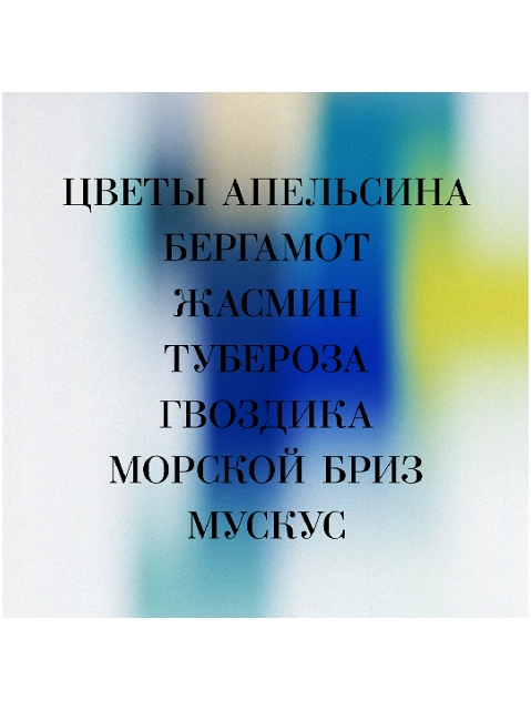 Image 303081