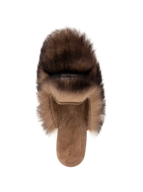 Image 312319
