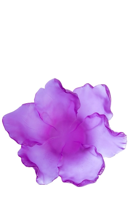 Image 427018