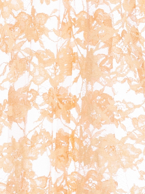 Image 306819