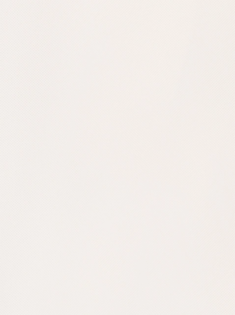 Image 427348