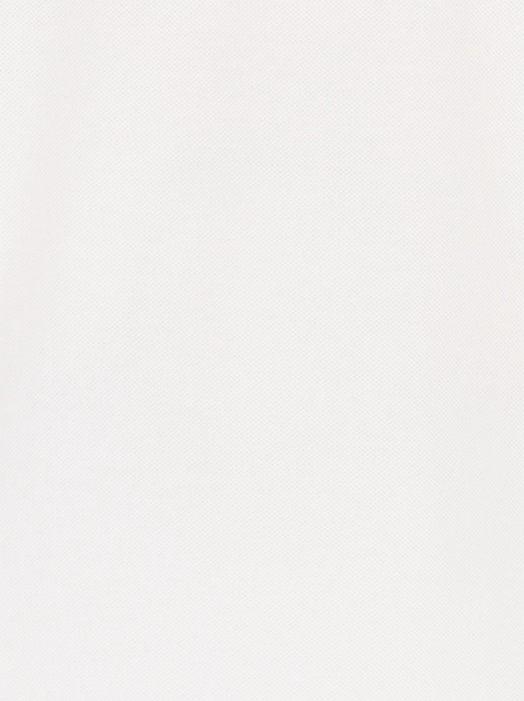 Image 386628