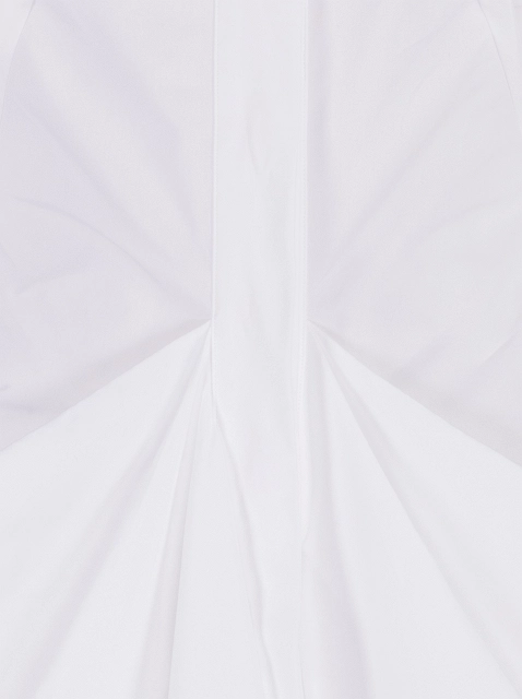 Image 427731
