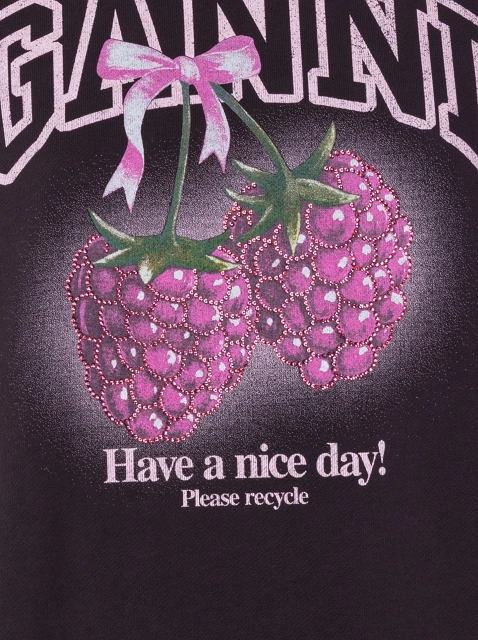 Image 463121