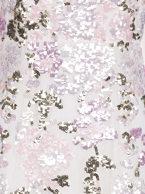Image 519831