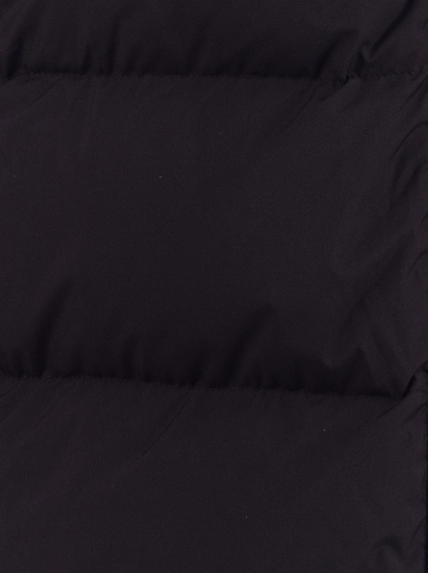 Image 520994