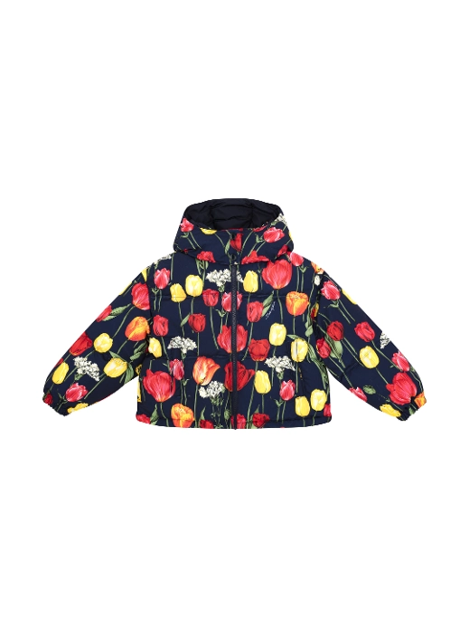 image-337928
