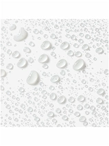 Image 300735