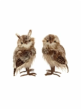 Image 113186