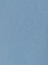 Image 197071
