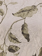 Image 199793