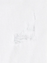 Image 207524