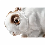 Image 402702