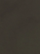 Image 217642