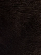 Image 452275