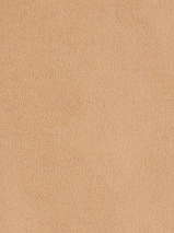 Image 221765
