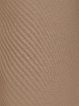 Image 221149