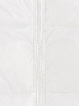 Image 223381