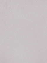 Image 133300