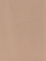 Image 379100