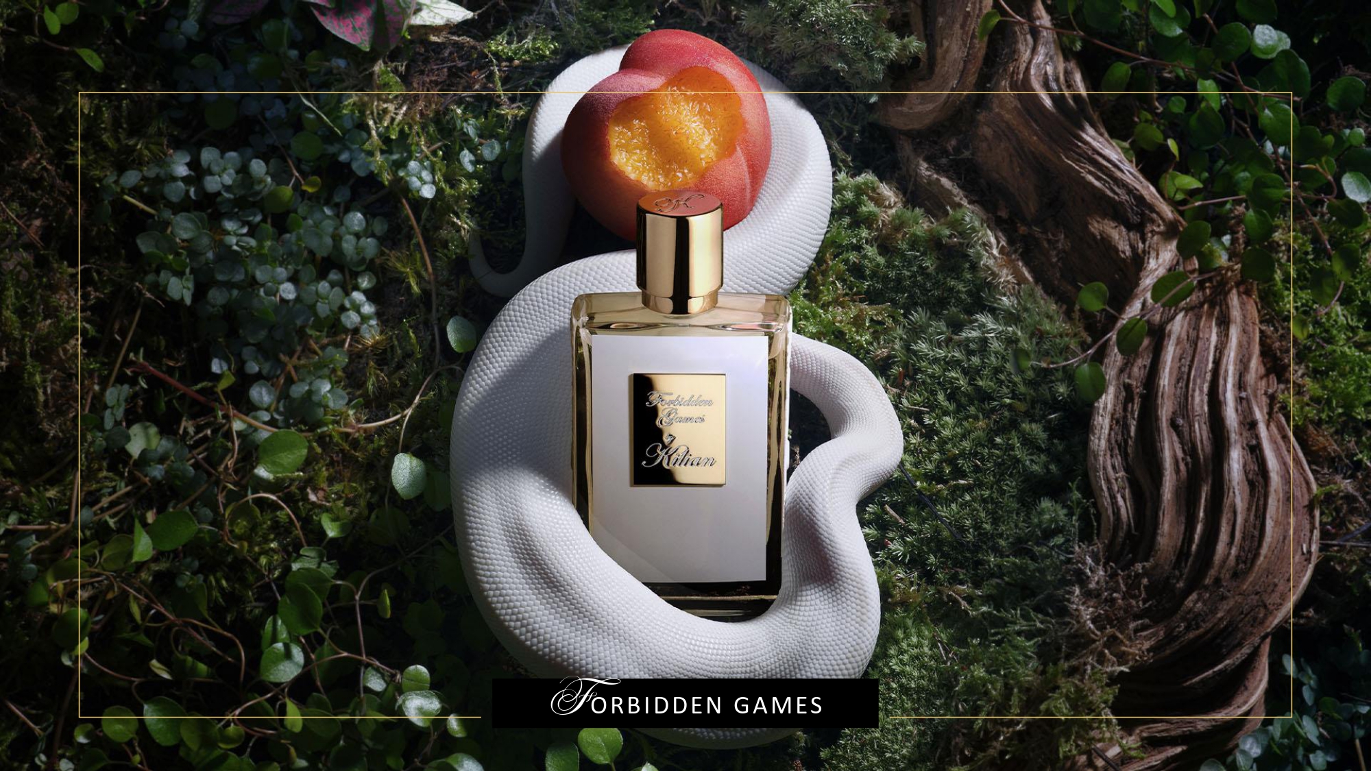 Forbidden Games by Kilian Paris - Новости CDV.kz - фото 1