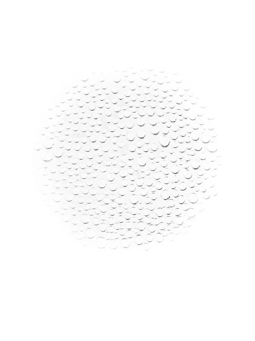 Image 533157