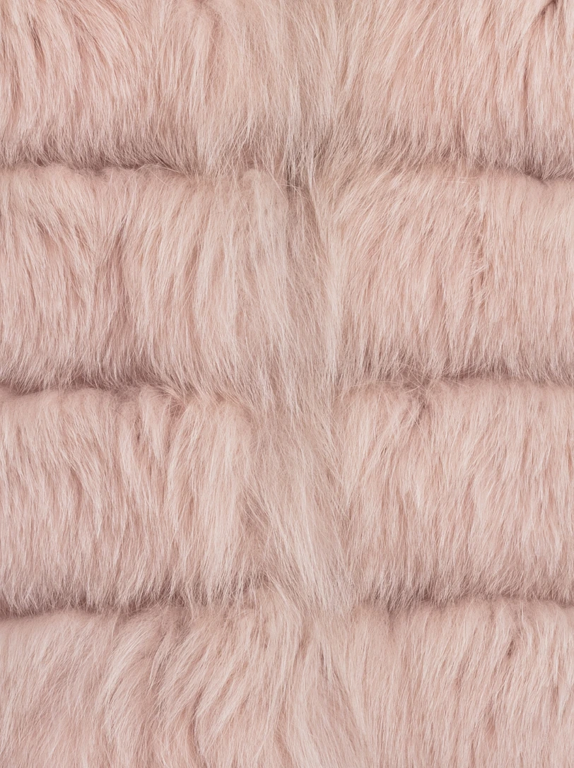 Image 531364